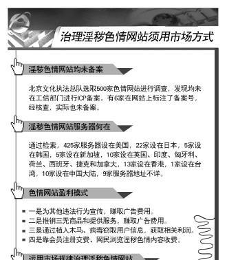 以视频网站制作教程为主题的文章（学习如何制作一个成功的视频网站）