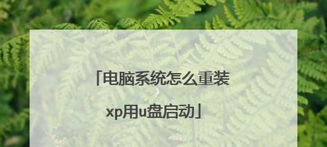 无U盘重装系统步骤教程（使用替代方法重新安装操作系统）