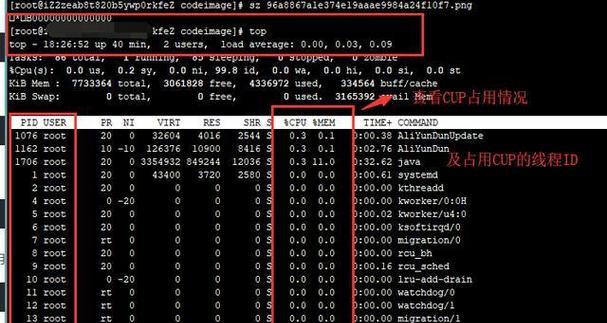 如何以1秒解决CPU占用100问题（通过优化和调整让CPU占用率迅速降低）