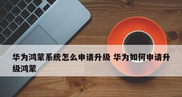 华为鸿蒙系统入口设置之全面定制手机体验（华为鸿蒙系统入口设置）