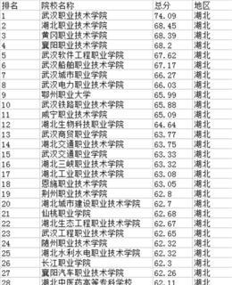 中国专科大学排名榜单揭晓（中国专科大学教育的优秀之地）