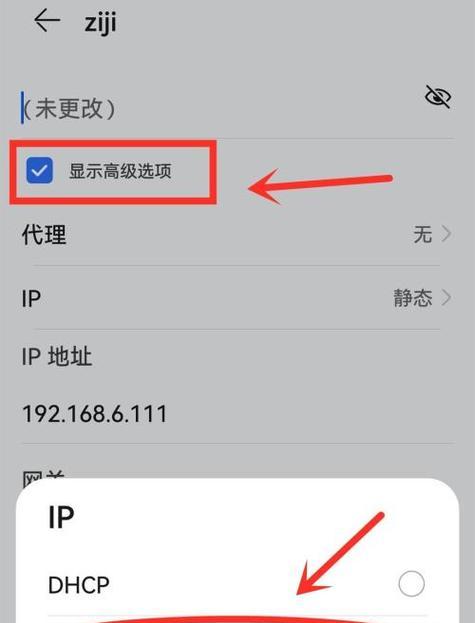 手机WiFi已连接不可上网的原因解析（解决手机WiFi连接问题的方法和技巧）