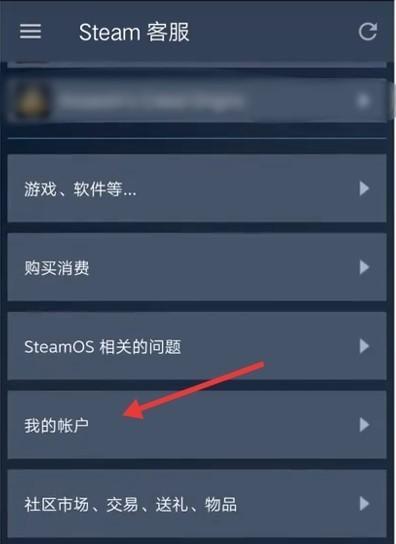 解析Steam商店错误代码（探索Steam商店错误代码的原因及如何解决）