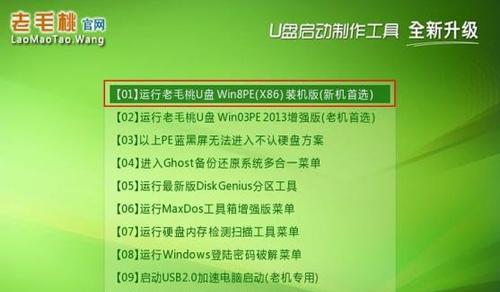 选择最佳U盘启动盘的关键因素（探索哪个U盘启动盘更加实用可靠）