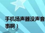 手机扬声器坏了自修教程：从零基础到专业维修