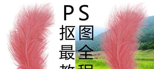 PS抠图教程（从零开始）